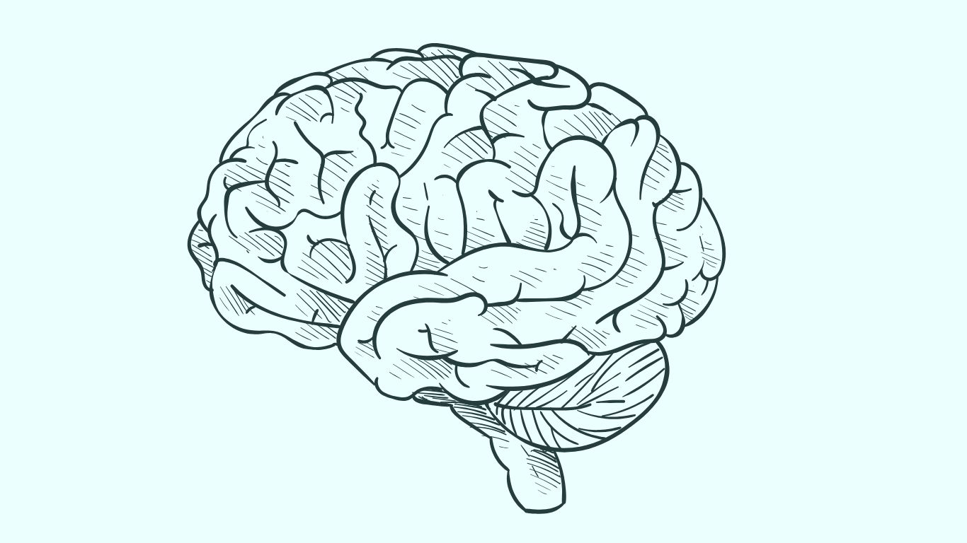 Finanzas inclusivas, finanzas para todos