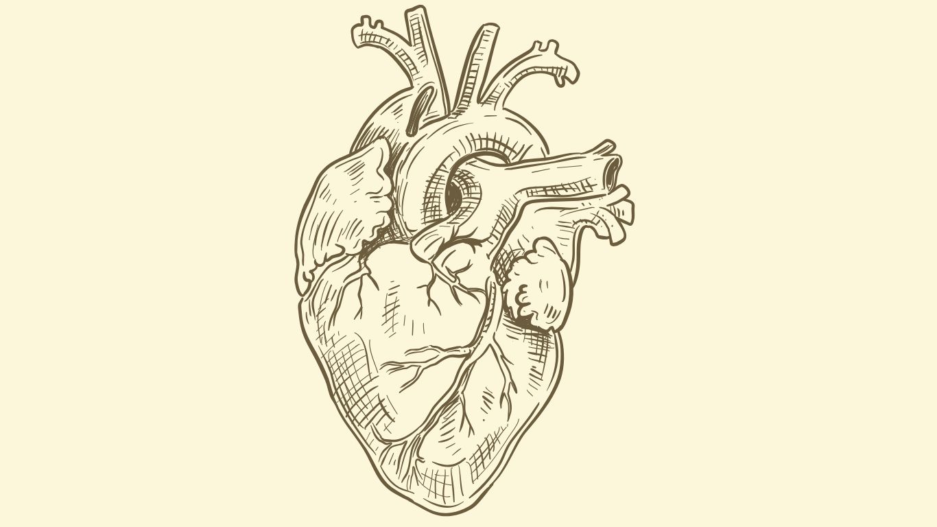 Finanzas inclusivas, finanzas para todos